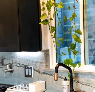 Eagle Rock House | Hidden Oasis 3 bedroom 2 bathroom Home With large backyard and Views Near DTLA