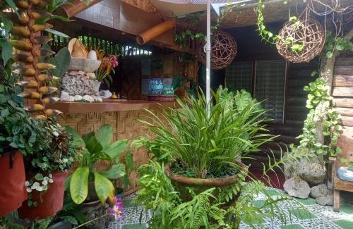 Mambajao House | Hidden Tourist Inn