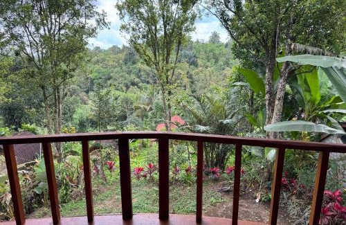 Tetebatu Hotel | Hide and Seek