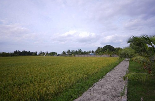 Ponneri Apartment | HIDE OUT at Medur, Pulicat Highway