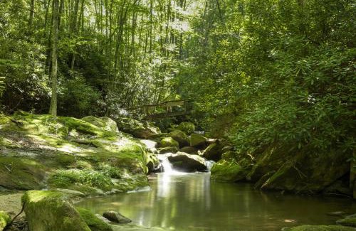 Banner Elk House | Hideaway Cabin at Buckeye Creek