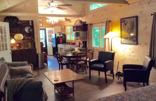 Flag Pond House | Hideaway from it all ! Holyfield Hideaway, Flag Pond, Tennessee