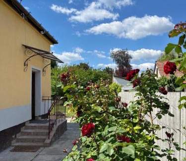 Rakosszentmihaly Apartment | Hideaway house with garden & freeparking
