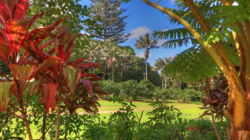 Norfolk Island Hotel | Hideaway Retreat