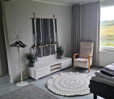 Aanekoski House | Hietaman Vierastalo Jokipääty