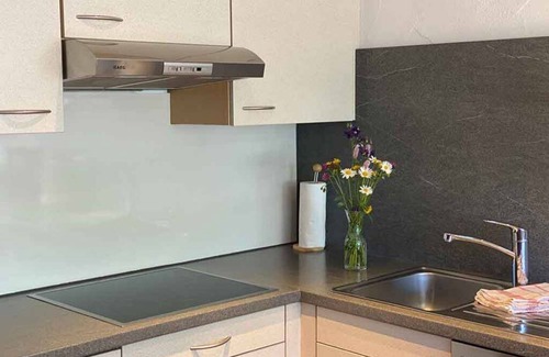 Oberjoch Apartment | High-quality modern vacation apartment at Oberjoch/Allgäu hiking and skiing area