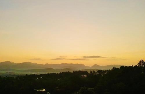Butawatta Hotel | High Garden