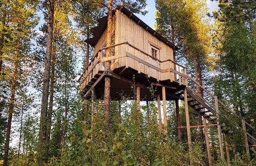 Arvidsjaur House | High in the trees in northern Sweden with lake views and moose under the terrace