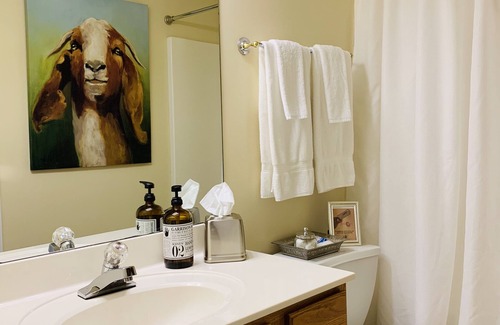 Athens Condo | High Point 301 2BR/2BA Condo Near University of Georgia Football & DT Athens GA