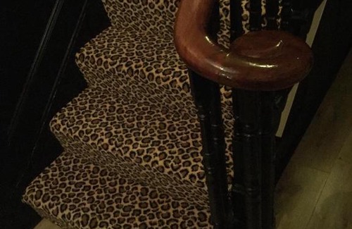 West Cliff Bed & Breakfast | High Tor Guest House