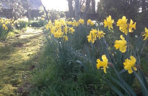 Kirknewton Cabin | Highfield Cottage