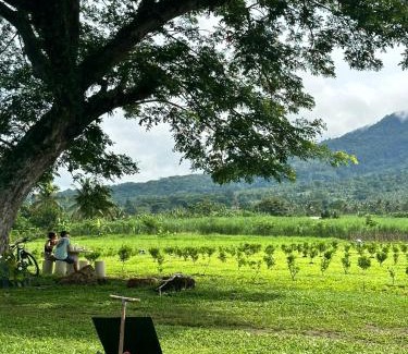 Pili House | Highland Cabin at Mt Isarog