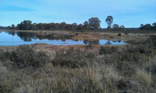 Bronte Park Resort | Highland Cabins and Cottages at Bronte Park