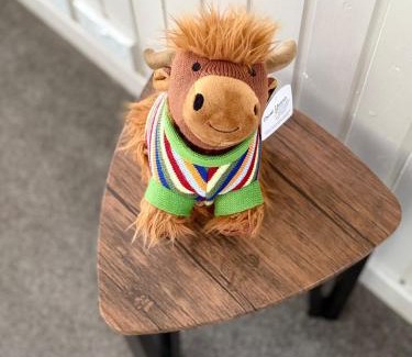 Kilmun Ski Chalet | Highland Coo Lodge