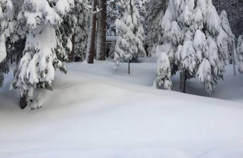 Arnold Ski Chalet | HighlandHouse