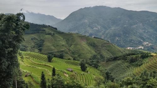 Ban Pho House | Higland Homestay Bac Ha