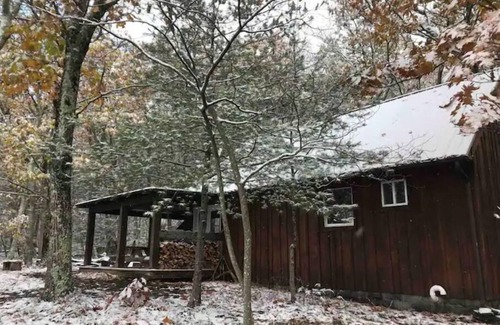 Saugerties Cabin | Hike In Hike Out Mountain Cabin