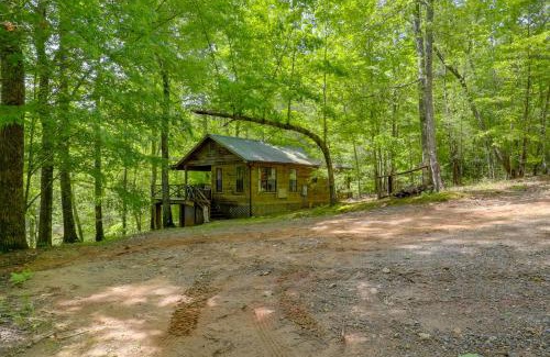 Vein Mountain Apartment | Hike, Soak and Unwind in Nature Blue Ridge Cabin