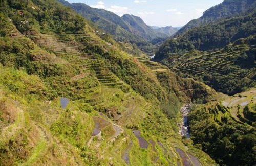 Batad House | Hiker's Homestay