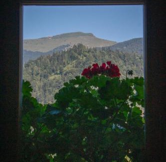 Zgornja Sorica House | Hikers Hut Pr Blažu