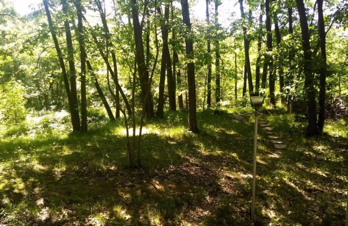 Grand Bend Cottage | Hiking, Biking and Fall colors. Open for relaxation year round.
