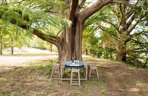 Stonewall Cabin | Hill Country Getaway - Cozy Stonewall Retreat Near Wineries & Fredericksburg