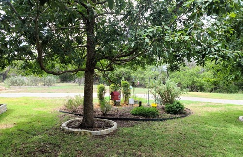 Spring Branch House | Hill Country Haute n Haus Relax and Renew