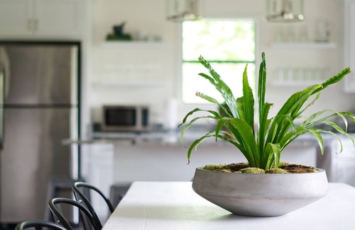 Llano House | Hill Country Hickory House-Walk to Llano River & Downtown-Free Gym Access