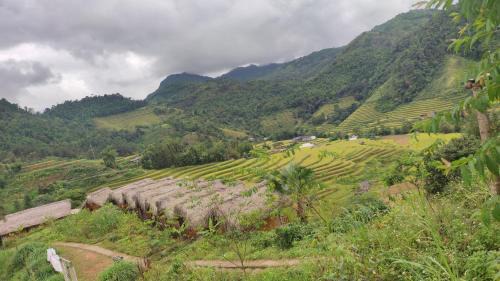 Thong Nguyen Cabin | Hill home Hoang Su Phi