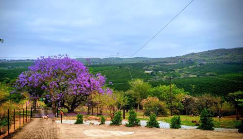 Hazyview Apartment | Hill Top Cabin - Self Catering Accommodation