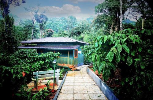 Chittur Resort | Hill Valley Farm House