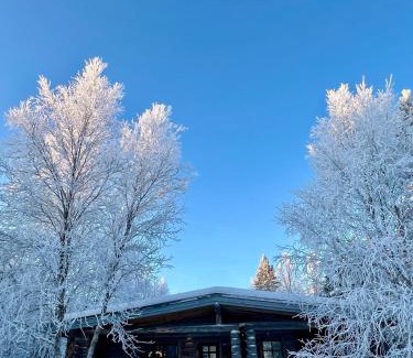 Inari Ski Chalet | Hillavilla