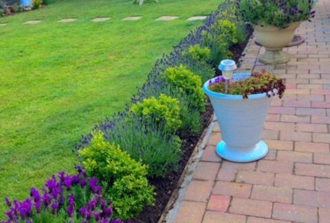 Fairlight Bed & Breakfast | Hillcliffe House