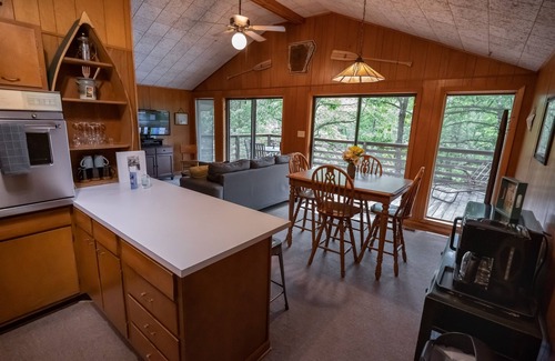 Hardy Cabin | Hillside Haven secluded vintage cabin with hot tub