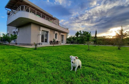 Elbasan Bed & Breakfast | HILLTOP HIDEAWAY