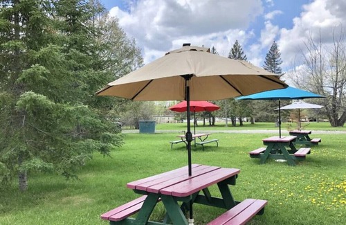 International Falls Cabin | Hilltop Lodge - Birch -Queen Cabin
