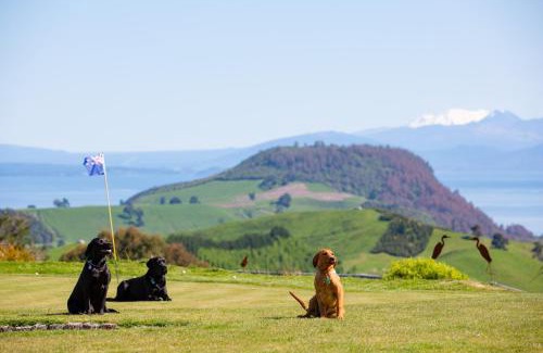 Kinloch Bed & Breakfast | Hilltop Whakaipo Estate
