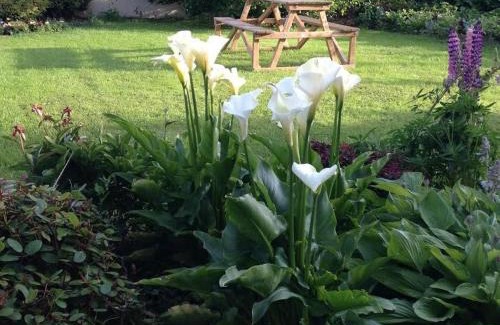 Cootehill Bed & Breakfast | Hillview House