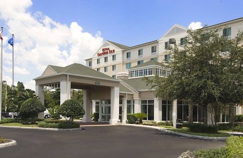 Temple Terrace Hotel | Hilton Garden Inn Tampa North Busch Gardens