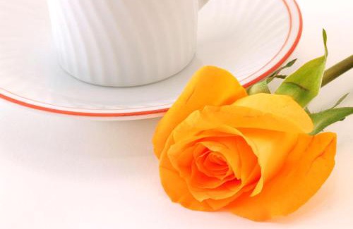 Harbor East Hotel | Hilton Garden Inn Baltimore Inner Harbor