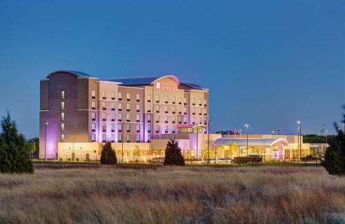 South Arlington Hotel | Hilton Garden Inn Dallas/Arlington South