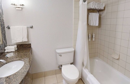 Novi Hotel | Hilton Garden Inn Detroit/Novi