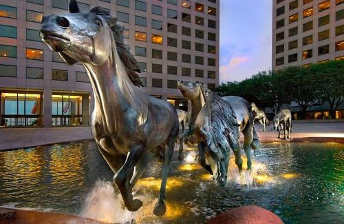 Irving Hotel | Hilton Garden Inn DFW Airport South