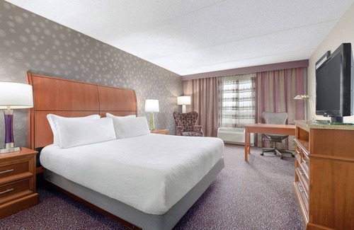 Springfield Hotel | Hilton Garden Inn-Springfield, MA