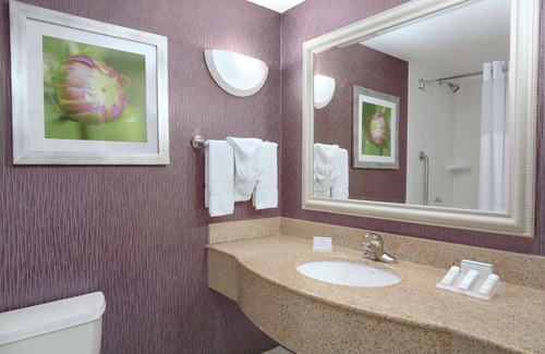 Springfield Hotel | Hilton Garden Inn-Springfield, MA
