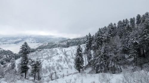 Jubbal House | Himalayan Gypsie Homestay