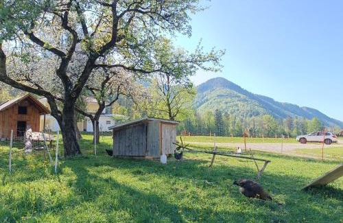 Hintersee Apartment | Hintererhof
