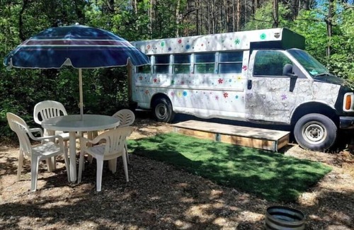 Cass City RV Rental | hippy buss getaway