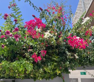 Manadhoo House | Hiri Inn