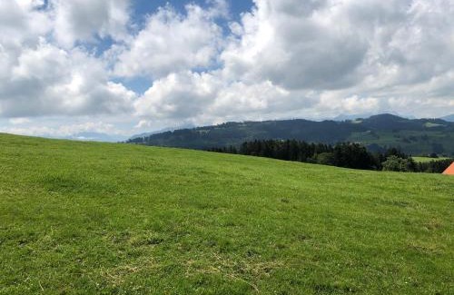 Wald Hotel | Hirschen Wald - Gasthaus & Bäckerei